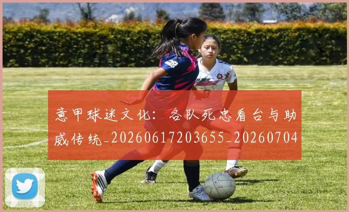 意甲球迷文化:各队死忠看台与助威传统_20260617203655_20260704175317