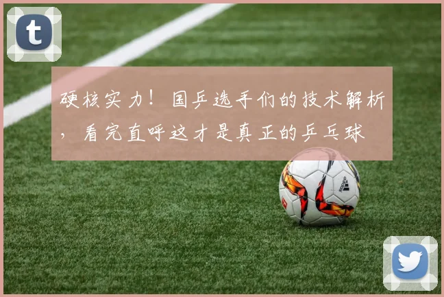 硬核实力!国乒选手们的技术解析,看完直呼这才是真正的乒乓球